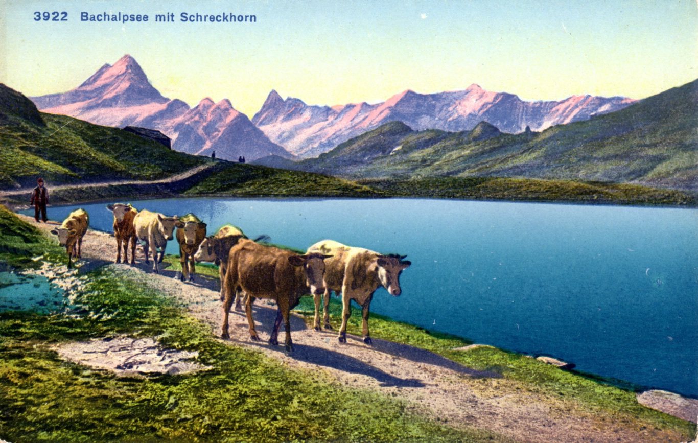 Bachalpsee%20mit%20Schreckhorn%20C%201930