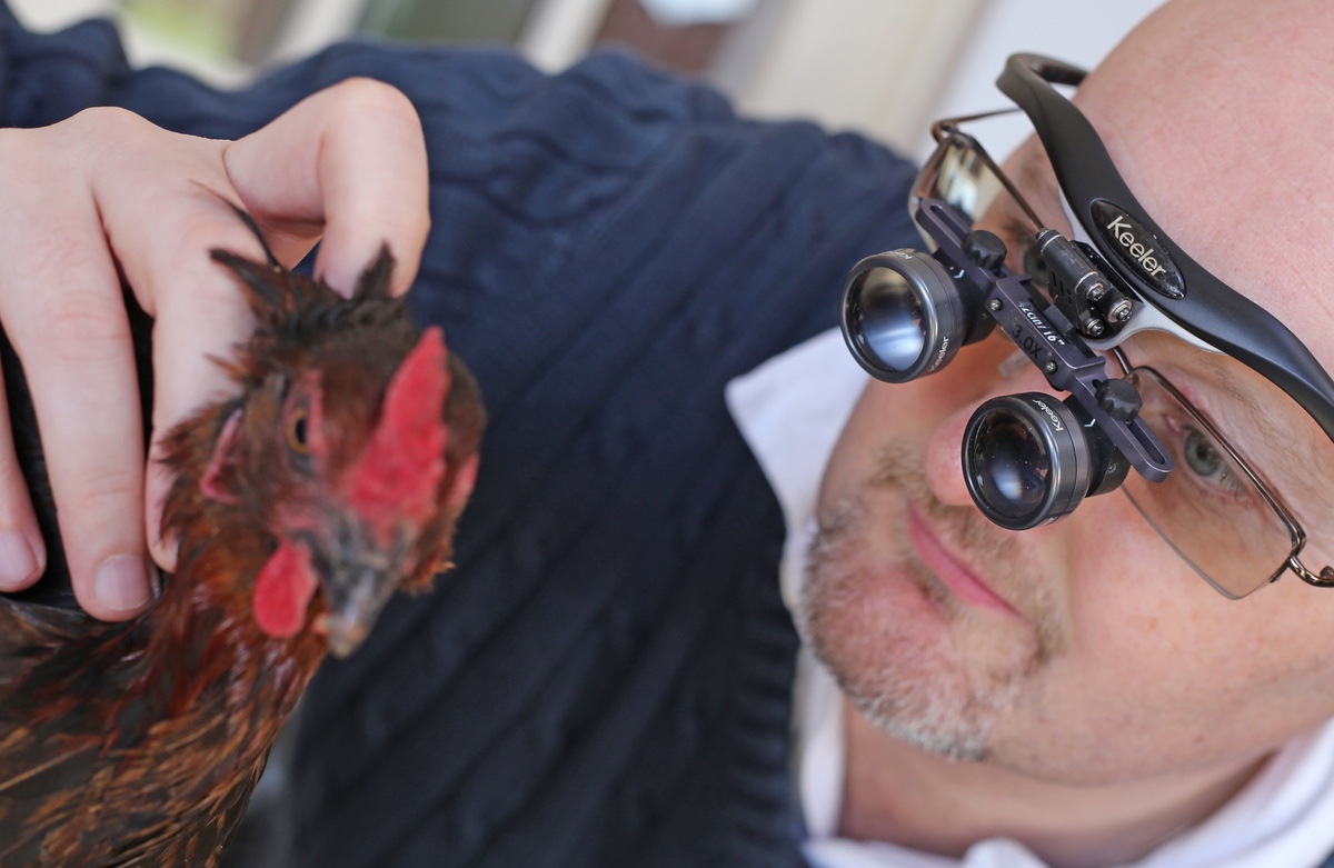 Keeler%20Veterinary%2014