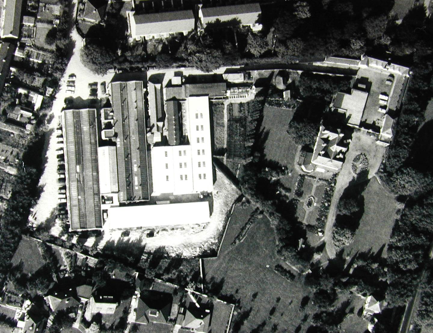 placeholder image-sq